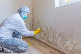 Reliable Wanaque, NJ Mold Removal Services Solutions