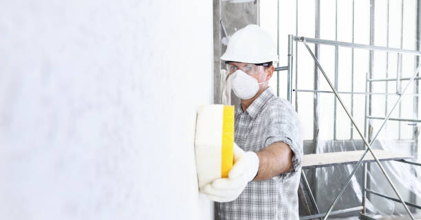 Best Biohazard Mold Removal  in Wanaque, NJ