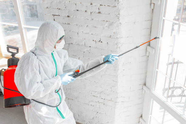 Best Mold Odor Removal Services  in Wanaque, NJ